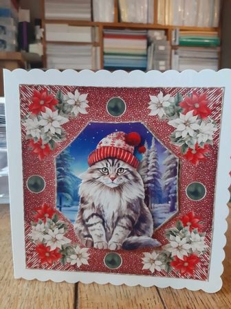Christmas cat card front 16 by Ann Davies