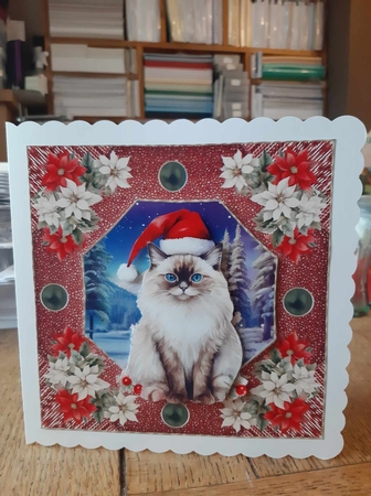 Christmas cat card front 17 by Ann Davies