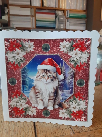 Christmas cat card front 18 by Ann Davies
