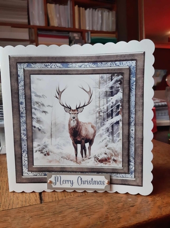 Framed Christmas stag card front 1 by Ann Davies