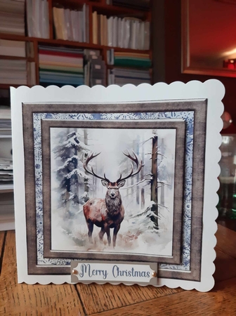 Framed Christmas stag card front 3 by Ann Davies