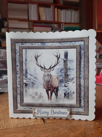 Framed Christmas stag card front 4 by Ann Davies
