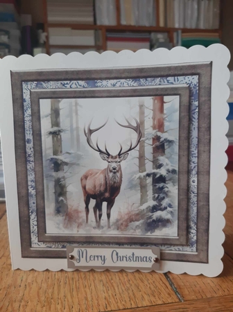 Framed Christmas stag card front 6 by Ann Davies