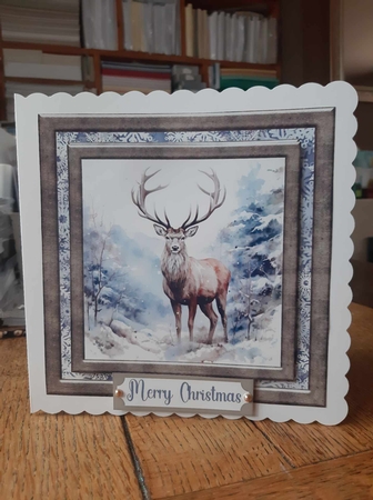 Framed Christmas stag card front 11 by Ann Davies