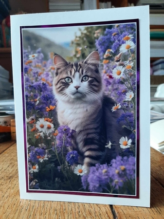 EW A4 Cat 01 by Ann Davies
