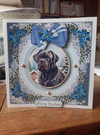 Blue Christmas dog card front 16 by Ann Davies