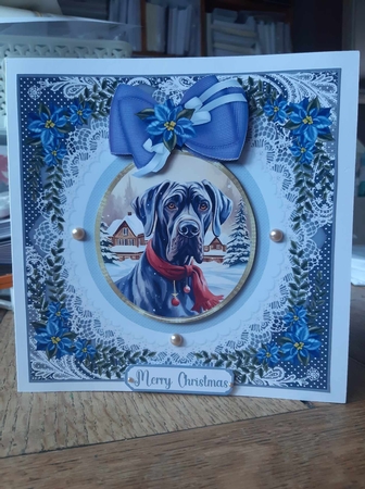 Blue Christmas dog card front 17 by Ann Davies