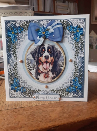 Blue Christmas dog card front 20 by Ann Davies