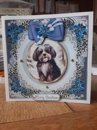 Blue Christmas dog card front 23 by Ann Davies