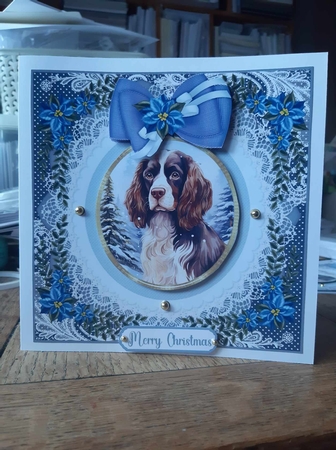 Blue Christmas dog card front 24 by Ann Davies