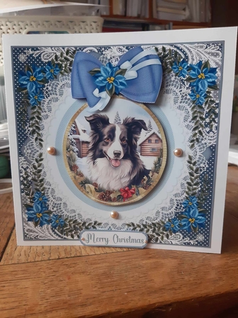 Blue Christmas dog card front 25 by Ann Davies
