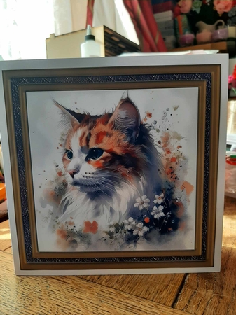 Floral cat in frame card front 4 by Ann Davies