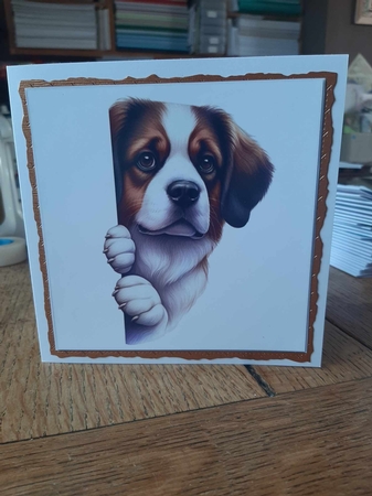 Peeking Around Animal Card Toppers by Ann Davies