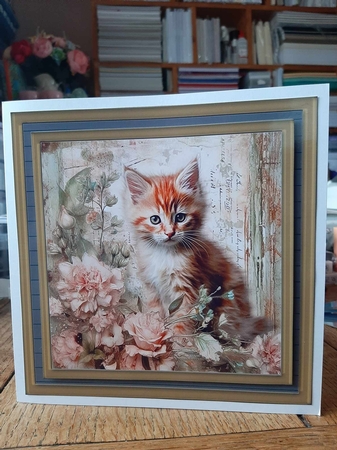 Framed floral cat card front (n14) by Ann Davies