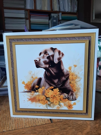 Floral Chocolate Labrador card front 1 by Ann Davies
