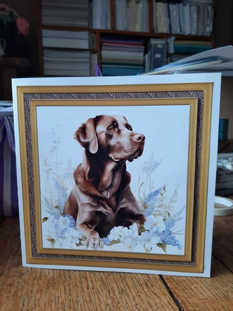 Floral Chocolate Labrador card front 2 by Ann Davies