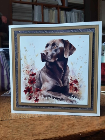 Floral Chocolate Labrador card front 5 by Ann Davies