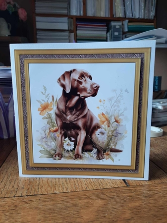 Floral Chocolate Labrador card front 6 by Ann Davies