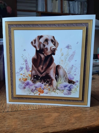 Floral Chocolate Labrador card front 7 by Ann Davies