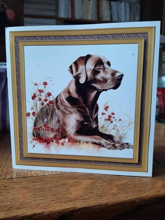 Floral Chocolate Labrador card front 8 by Ann Davies