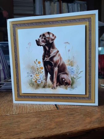 Floral Chocolate Labrador card front 9 by Ann Davies