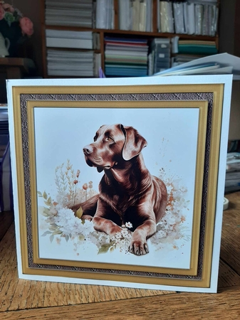 Floral Chocolate Labrador card front 10 by Ann Davies
