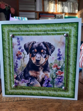 3 Floral pup card fronts/toppers 6 by Ann Davies