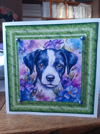 3 Floral pup card fronts/toppers 7 by Ann Davies