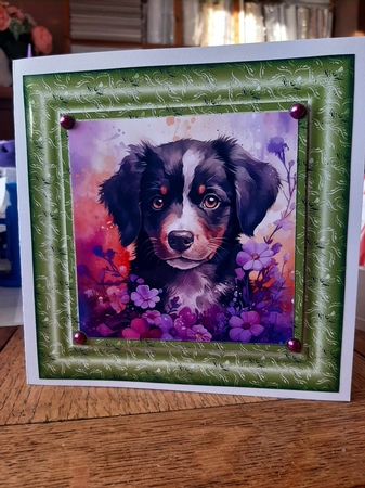 3 Floral pup card fronts/toppers 8 by Ann Davies