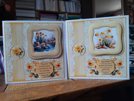 Framed daffodil scene card front 1 by Ann Davies