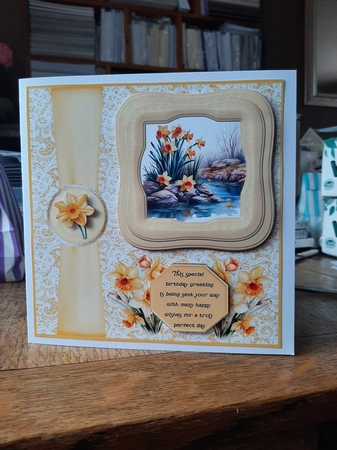Framed daffodil scene card front 1 by Ann Davies