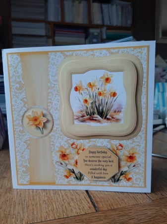 Framed daffodil scene card front 1 by Ann Davies