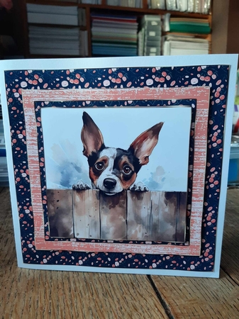 Pup looking over fence card front 2 by Ann Davies