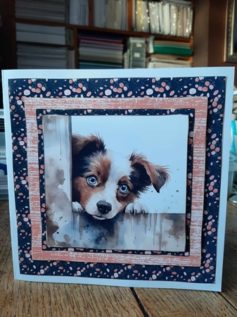 Pup looking over fence card front 3 by Ann Davies