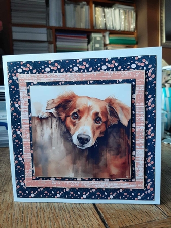 Pup looking over fence card front 4 by Ann Davies