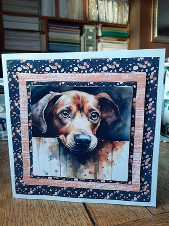 Pup looking over fence card front 6 by Ann Davies