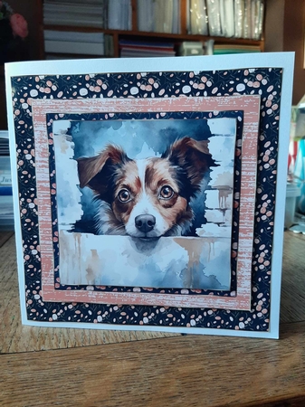 Pup looking over fence card front 7 by Ann Davies