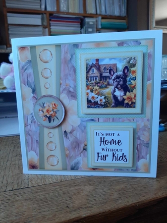 Frenchie 2 Panel card front 1 by Ann Davies