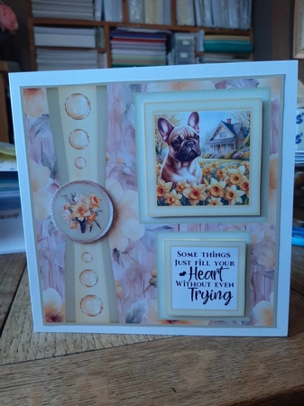 Frenchie 2 Panel card front 3 by Ann Davies