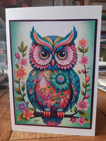 Funky Spring Owl A4 by Ann Davies