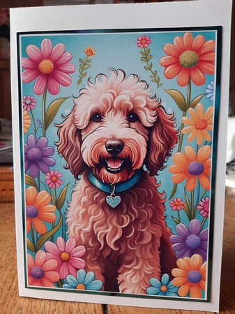 Labradoodle doo A4 by Ann Davies