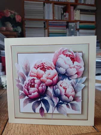 Pretty Cream 7x7 Frame With Pink Peonies (Four) by Ann Davies
