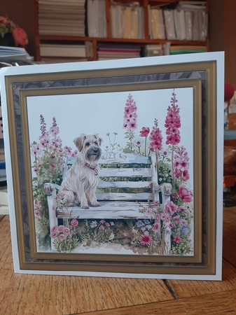 Its a dogs life card front 1 by Ann Davies