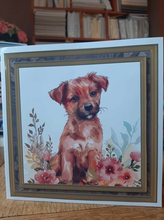 Its a dogs life card front 4 by Ann Davies