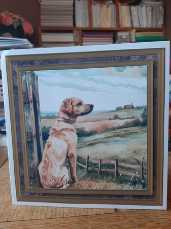 Its a dogs life card front 5 by Ann Davies