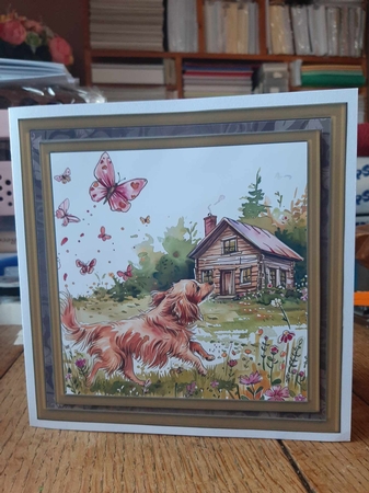 Its a dogs life card front 8 by Ann Davies