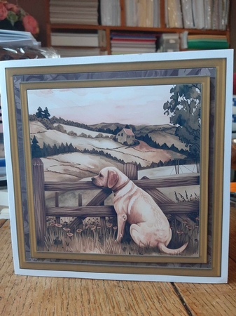 Its a dogs life card front 10 by Ann Davies