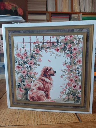 Its a dogs life card front 20 by Ann Davies