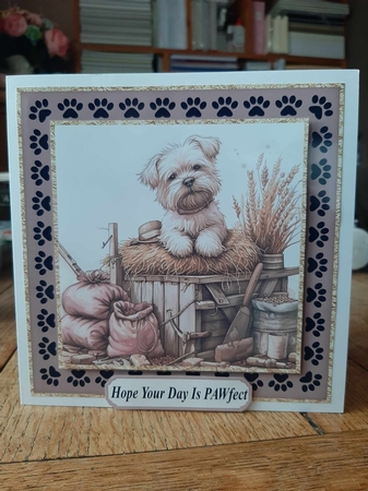 Its a dogs life on the farm card front 2 by Ann Davies