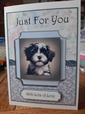 Pretty Paws Just For You by Ann Davies